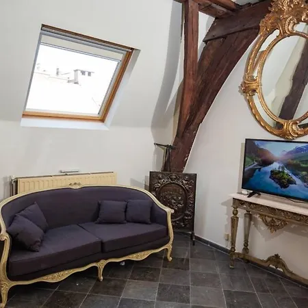 Appartement Hofmarkgraaf - Unique In Historic Mansion